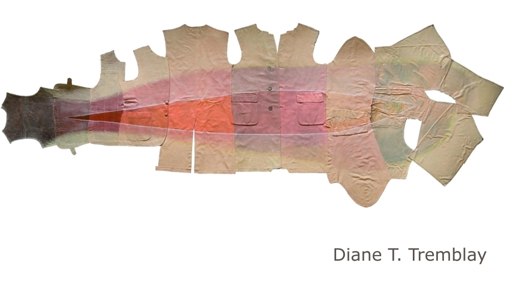 Diane T. Tremblay, artiste en arts visuels