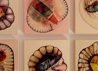 Exposition Fa�ades de Diane T. Tremblay